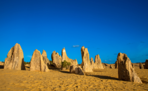 Untitled design - 2025-01-07T160824.593